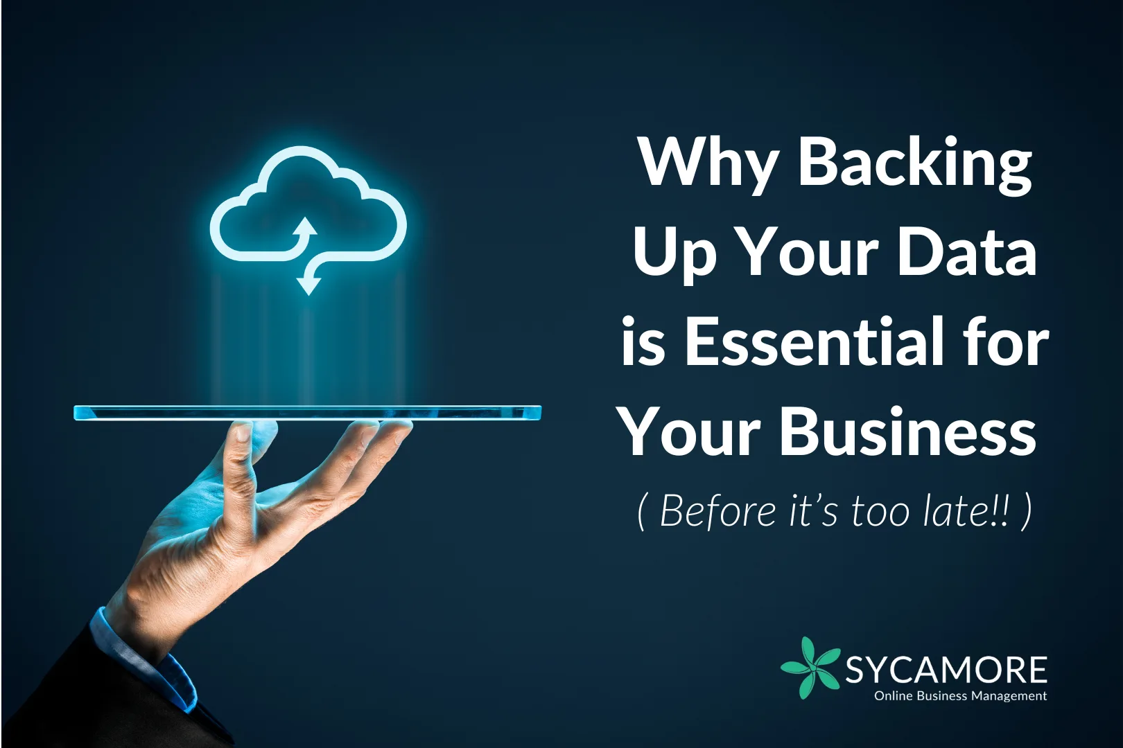 Why Back Up Your Data Blog