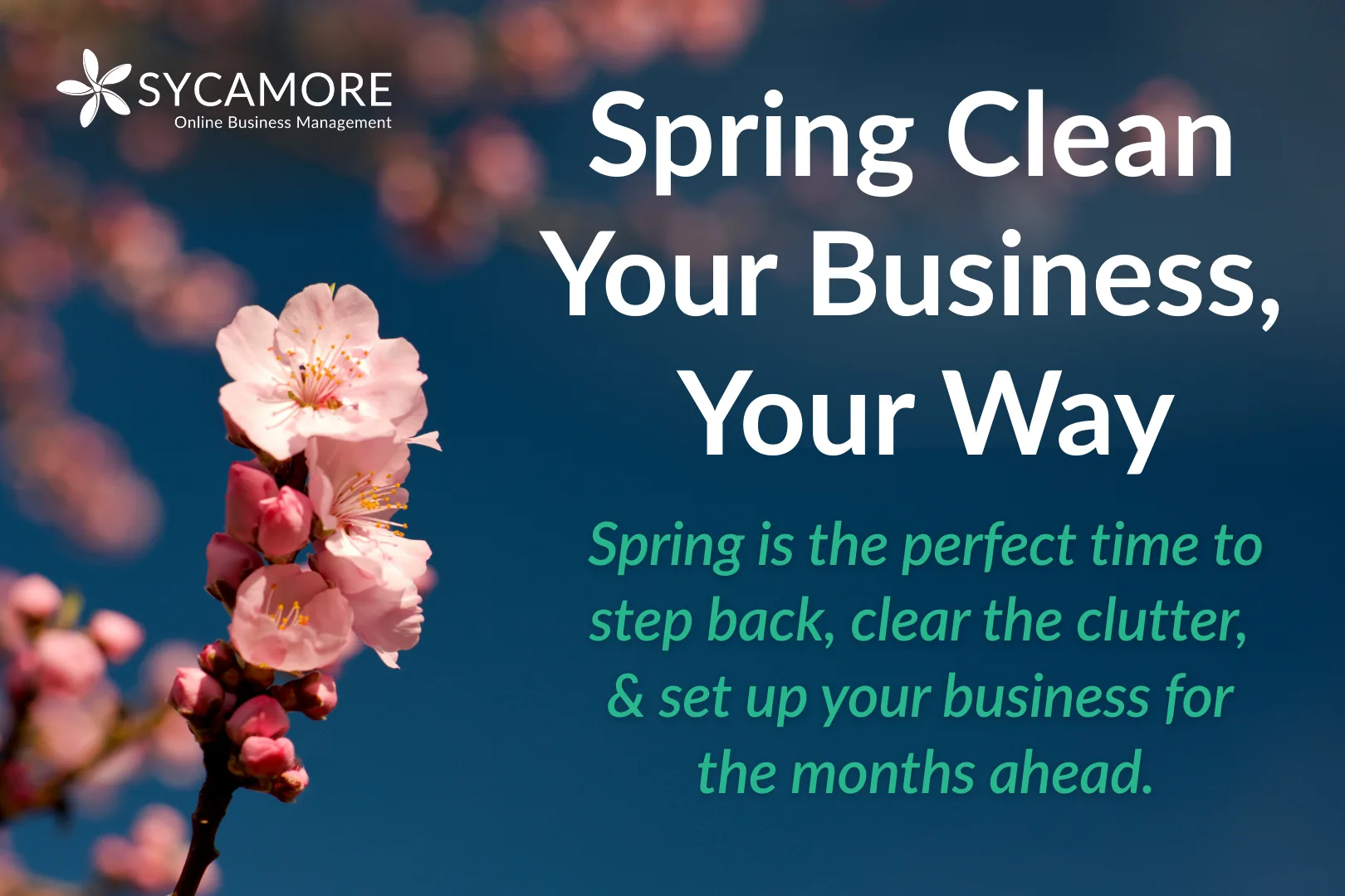 Spring Clean Your Business